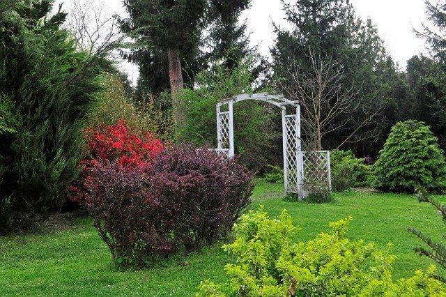 Bed and Breakfast Misefa Kastely Exterior foto